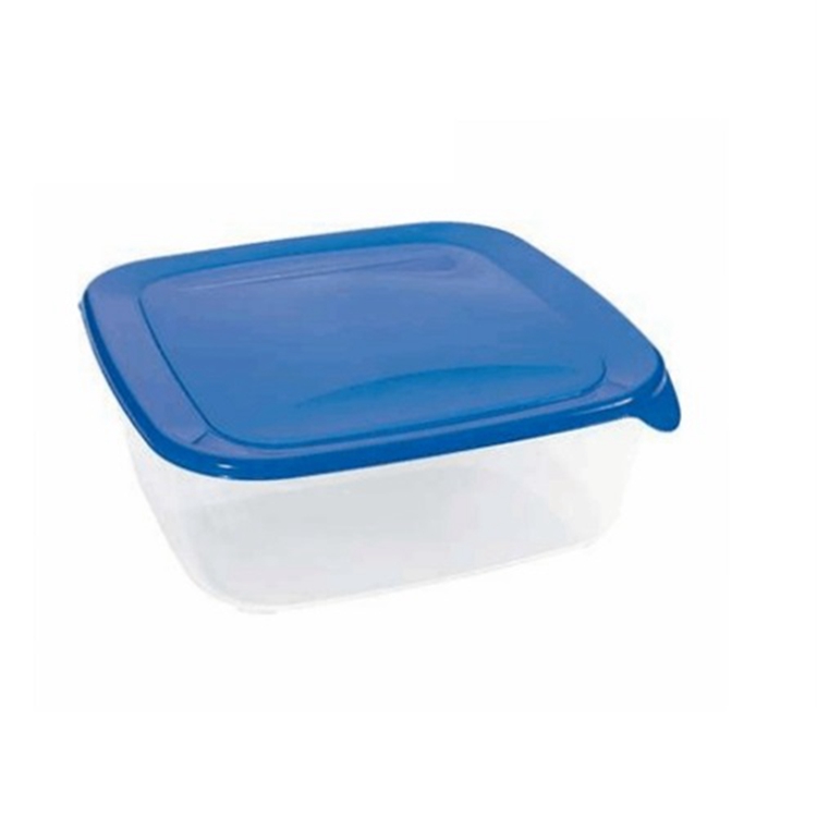 food lunch box mould