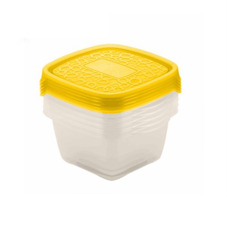 food lunch box mould